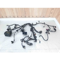 Проводка (коса) двигателя Chevrolet Captiva C100 2006-2010	Код 25914620