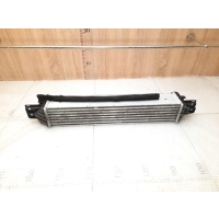 Интеркулер Chevrolet Captiva C100 2006-2010	Opel Antara 96629070