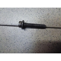 Болт поддона Mercedes Benz 57/62 (2002 - 2012) 1409904601