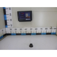 Гайка колеса Iveco 4 T series (1995 - 2007) 41031725