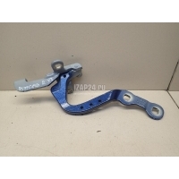 Петля двери багажника BMW X3 G01 2017 41007494944