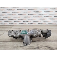 Коллектор впускной Volkswagen Tiguan 1 2008 03L129711E