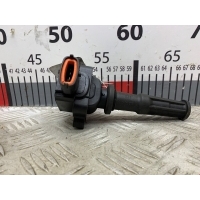 Катушка зажигания Ford Mondeo 3 (2000-2007) 2004 0221604006,1360553