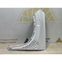Крыло Omoda C5 T19C 2022-2024 553000312AADYJ