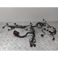 Проводка двигателя Kia Rio 3 (2011-2015) 2012