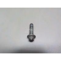 Болт Mercedes Benz A-Class W177 2018 0029902503