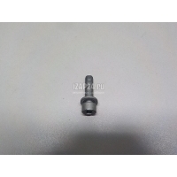 Болт Mercedes Benz A-Class W177 2018 A0109905004