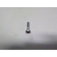 Болт Mercedes Benz A-Class W177 2018 N000000002439