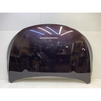 капот Exeed TXL 1 2022- 509000735AA, 509000735AADYJ