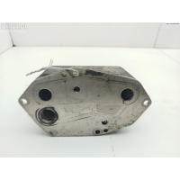 Теплообменник BMW 5 E39 (1995-2003) 2001 2247204