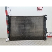 Радиатор основной Renault Scenic 3 (2009-2013) 2010 214100014R
