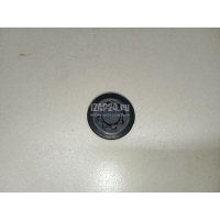 Заглушка Geely Coolray 2018 5077003900