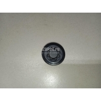 Заглушка Geely Coolray 2018 5077003900