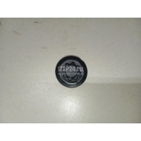 Заглушка Geely Coolray 2018 5077003900