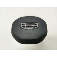 Подушка безопасности в рулевое колесо Geely Coolray 2018 8031066600