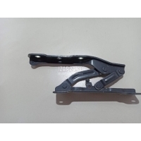 Петля капота правая Hyundai-Kia K5 2020 66920L2000