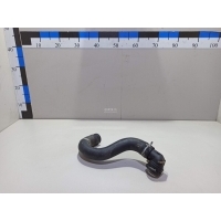 Патрубок радиатора Hyundai-Kia K5 2020 25415L1500