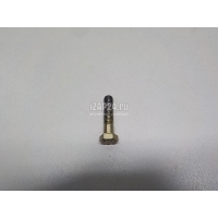 Болт VAG 100 [C4] (1991 - 1994) N01033512