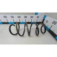 Пружина передняя VAG Polo (RUS) 2020 6R0411105B