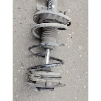 Пружина передняя Renault Scenic 2004