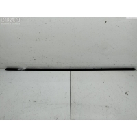 Молдинг двери передней левой Volkswagen Passat B6 2005 3C0853515