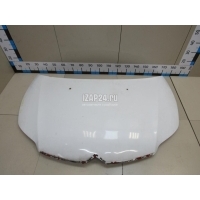 Капот TYG C4 (2005 - 2011) CT20022B