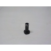 Направляющая (кузов наружные) VAG A6 [C6,4F] (2004 - 2011) 4F5809899D
