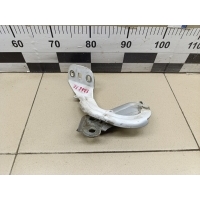 Петля капота правая FORD Focus III 2011> 1750016