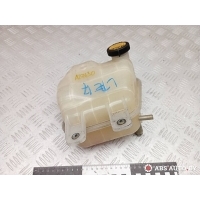 Бачок расширительный Toyota RAV4 2 (XA20) 2002 1647027060,1640153010