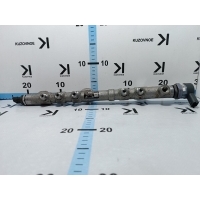 Рейка Топливная (Рампа) Kia Sorento UM 2019 314002F600, 314022F600