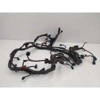 Проводка двигателя Ford Fiesta 6 (2008-2013) 2010