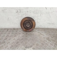 Диск тормозной задний Renault Scenic 2 (2003-2009) 2004