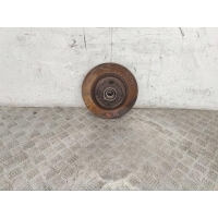 Диск тормозной задний Renault Scenic 2 (2003-2009) 2004