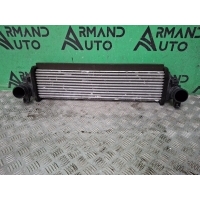 интеркулер EXEED TXL M32T 2020-нв 302000507AA, 8