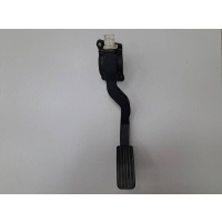 Педаль газа Peugeot Peugeot 206 1998-2012 0280755026
