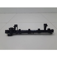 Рейка топливная (рампа) Ford Ford Focus 2 (DA) 2005-2008 5M5G9H487BA, 1698074