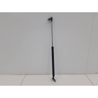 Амортизатор двери багажника Toyota Toyota Land Cruiser (J100) 1998-2007 6896069016, 6896069017