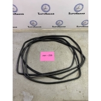 Резиновый уплотнитель на двери Mercedes W245 Mercedes W245 B 2005-2012 A1697270330