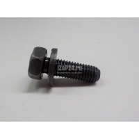 Болт Chrysler Voyager/Caravan (RG/RS) (2000 - 2008) 6100296