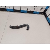 Патрубок отопителя Hyundai-Kia Carnival (1999 - 2005) 0K55261B32D