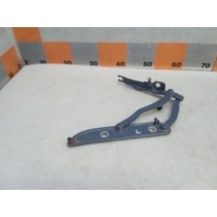 Петля крышки багажника BMW 3-Series E46 1999 41628220073