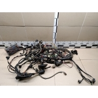 Проводка (коса) FORD Transit 2006-2013 1755795