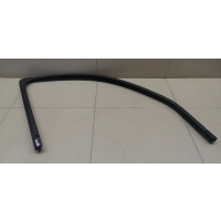 Уплотнитель стекла двери RENAULT Logan 2005-2014 803315826R