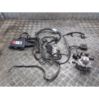 INSTALACJA GAZOWA 4 CYL LPG BRC SEQUENT 24 MTM ALEX SHARK