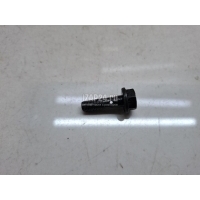 Болт Renault Megane I (1996 - 1999) 7700739225