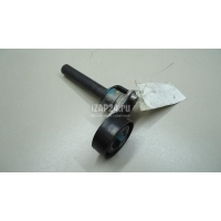 Натяжитель ремня VAG A3 [8PA] Sportback (2004 - 2013) 06J903133D