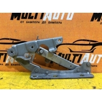 Петля капота Перед. Mercedes E-classe W211 A2118800228