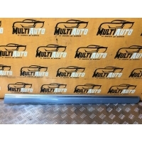 Молдинг двери Перед. Mercedes B-Class W245 2005-2011 A1696983662