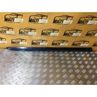 Молдинг двери нижний Перед. Mercedes R-Class W251 2005-2015 a2516902262