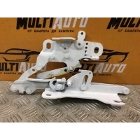 Петля капота Перед. BMW 3 Series F30, F31, F34 2011-2019 7239416